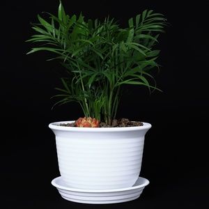White 6” Plastic Round Drainage Plant Pot Saucer Tray Outdoor Indoor flowers